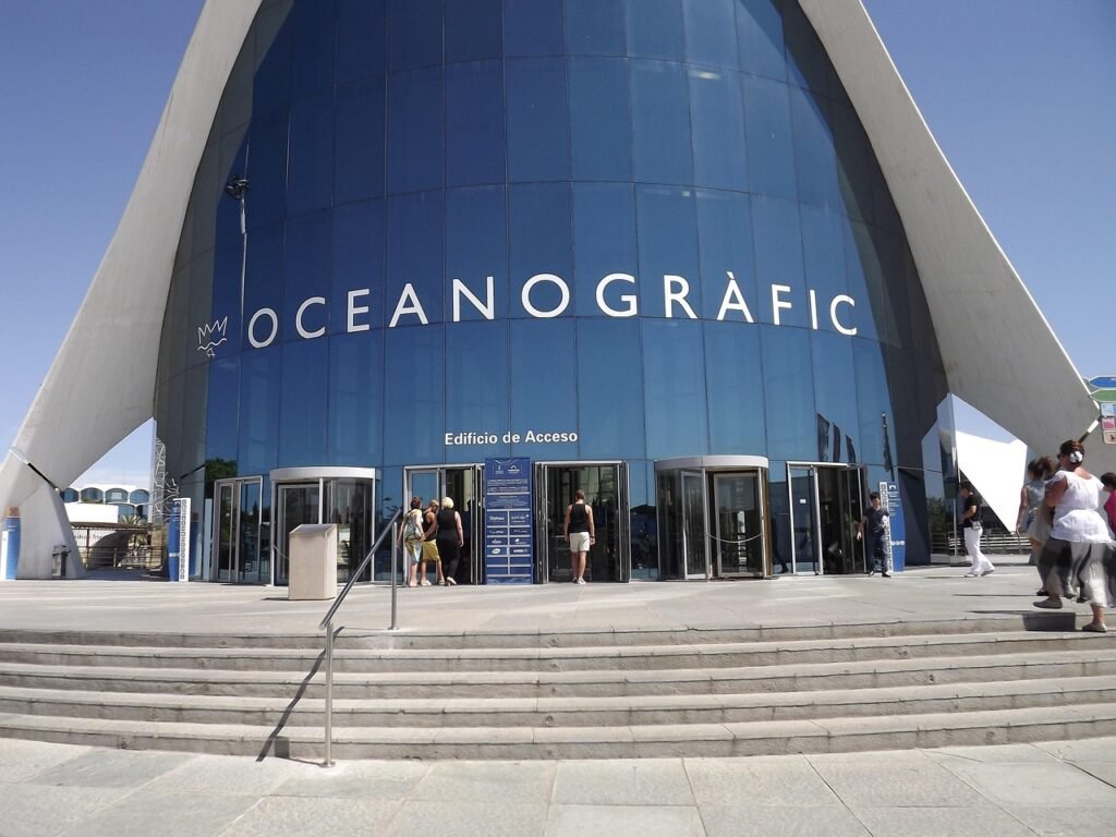 oceanographic, valencia, museum, fish, sea, oceanographic, oceanographic, oceanographic, oceanographic, oceanographic, valencia